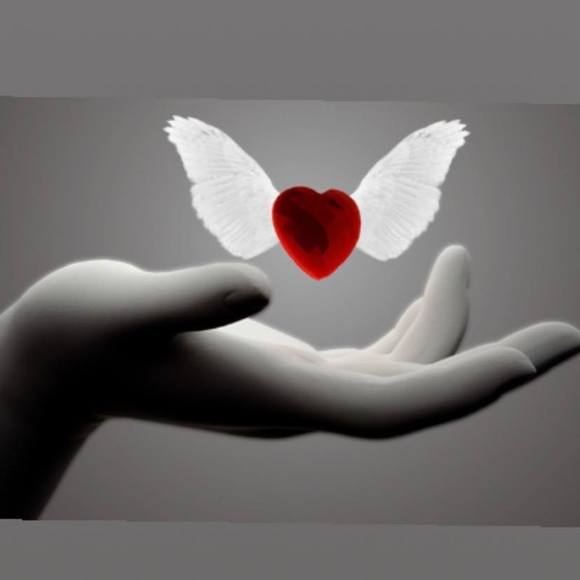 rahel_r